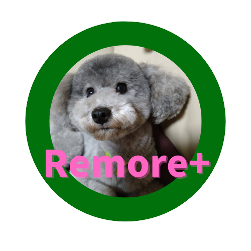 Remore±の看板犬の福くんです。